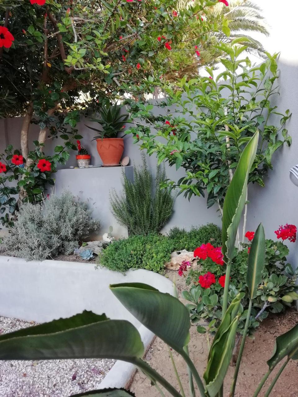 Dimitris' & Valentina'S Home Plakias Ngoại thất bức ảnh