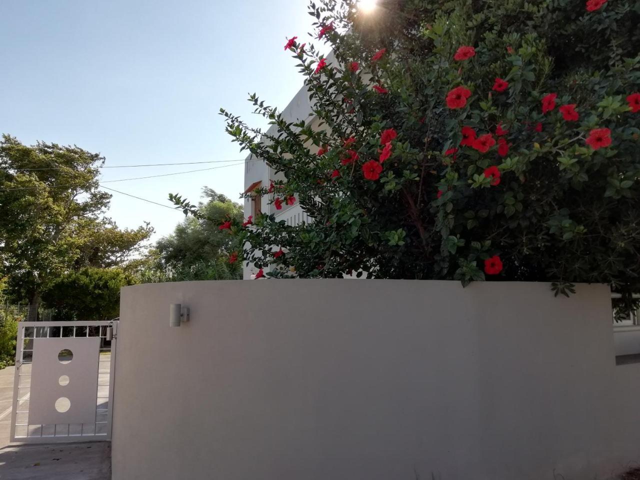 Dimitris' & Valentina'S Home Plakias Ngoại thất bức ảnh